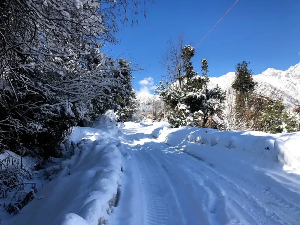road in auli full of snow